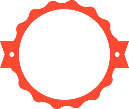 100 % Original Quality 